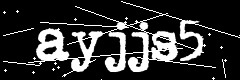 图形验证码