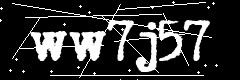 图形验证码