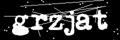 图形验证码