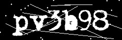 图形验证码