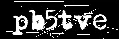 图形验证码